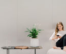Vitesy Natede Smart - Purificateur d'Air Naturel