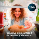 Cecotec Bolero CoolMarket Combi Origin 250 NF Red E