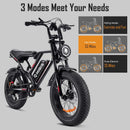 HiQiS S8 – Vélo électrique fat bike 20 pouces avec porte-bagages
