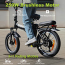 AVDL A20 Vélo Electrique Pliable Tout-Terrain