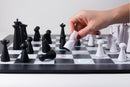 Particula GoChess Mini