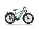 Himiway D5 Pro Vélo Electrique
