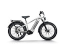 Himiway D5 Pro Vélo Electrique