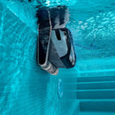 MAYTRONICS ROBOT DOLPHIN POOLSTYLE 60I P/16 PSL-200-0003