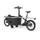 Tarran T1 Pro Vélo Electrique