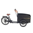 AITOUR Starter Vélo Electrique Cargo