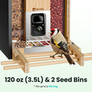 BIRDFY Mangeoire Bamboo AI solaire