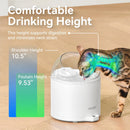 CATLINK Pure 2 (W02) – Fontaine à eau connectée pour chat