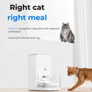 CATLINK Fresh 2 Luxury (F04) – Distributeur de croquettes connecté 4 L