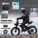HiQiS S8 Pro – Vélo électrique fat bike 20 pouces double moteur