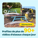 BIRDFY Mangeoire Feeder AI solaire