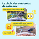 BIRDFY Mangeoire Feeder AI solaire