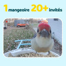 BIRDFY Mangeoire Feeder AI solaire