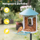 BIRDFY Mangeoire Feeder AI solaire