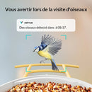 BIRDFY Mangeoire Feeder AI solaire