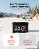 VEVOR Batterie Lithium LiFePO4 24 V 50 Ah 4000+ Cycles BMS 50 A Bluetooth pour Camping-cars, Moteurs de Pêche Traîne, Systèmes Solaires, Connexion 8P2S, 1280 Wh, Protection contre Basses Températures - image 4