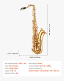 VEVOR Saxophone Ténor Si Bémol Kit Saxophone Débutants Laiton Résistant avec Étui de Transport, Bec, Sangles, Chiffon de Nettoyage, Gants, Sangle de cou, 23 Touches, pour Débutants, Étudiants, Doré - image 8