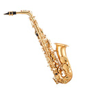 VEVOR Saxophone Alto Mi Bémol Kit Saxophone Débutants en Laiton Résistant avec Étui de Transport, Bec, Sangles, Chiffon de Nettoyage, Gants, Sangle de Cou, 23 Touches, pour Débutants, Étudiants, Doré - image 12