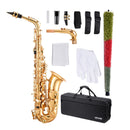 VEVOR Saxophone Alto Mi Bémol Kit Saxophone Débutants en Laiton Résistant avec Étui de Transport, Bec, Sangles, Chiffon de Nettoyage, Gants, Sangle de Cou, 23 Touches, pour Débutants, Étudiants, Doré
